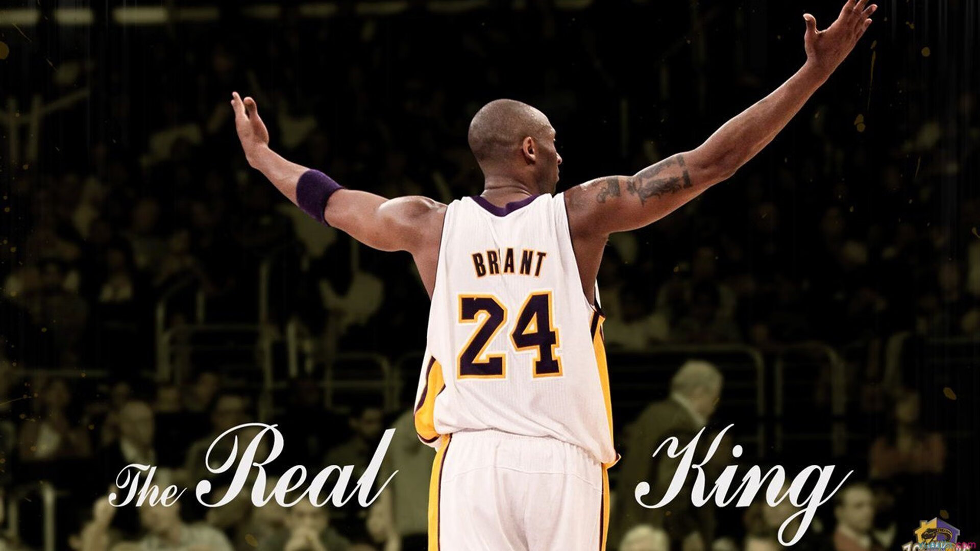 篮网终结辽宁队，欧文成为关键先生